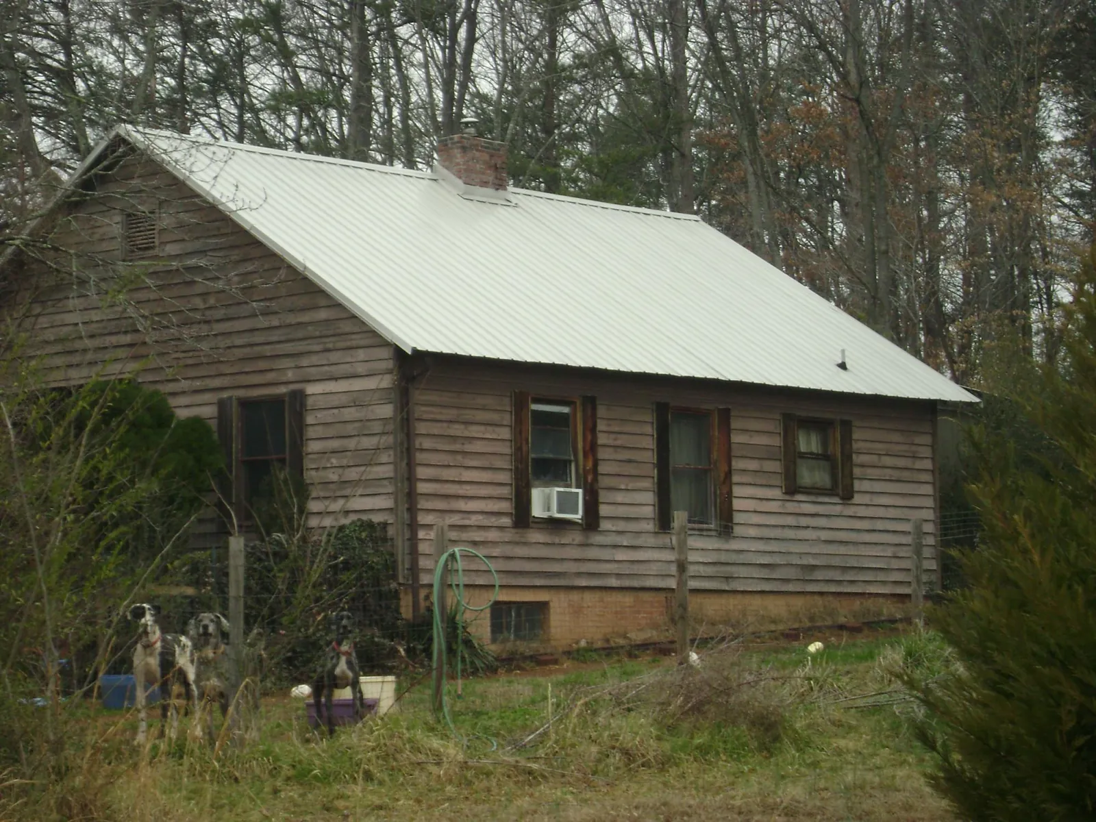 White metal roof on an old wood sided farmhouse, from a Asphalt Shingle Roof Repair job in Seymour